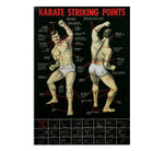 Poster, Karate Striking Points
