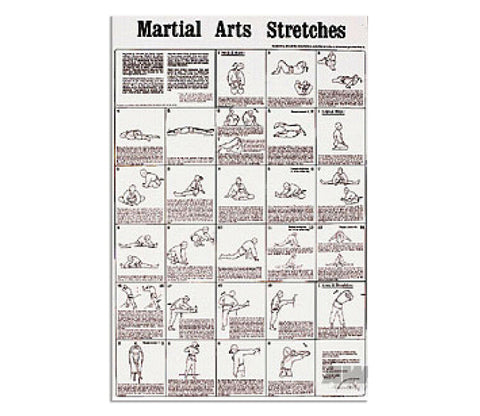 Poster, Martial Arts Stretches