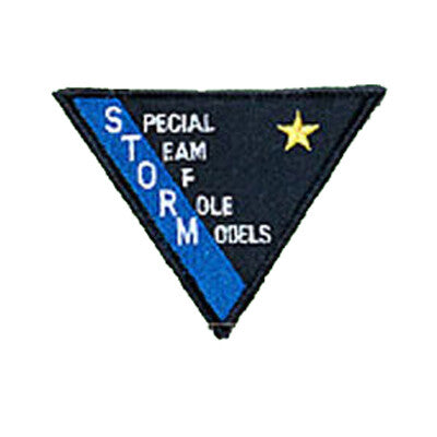 Patch, Team, Storm, Triangle 4.5"