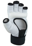 Taekwondo Gloves (WTF Style)